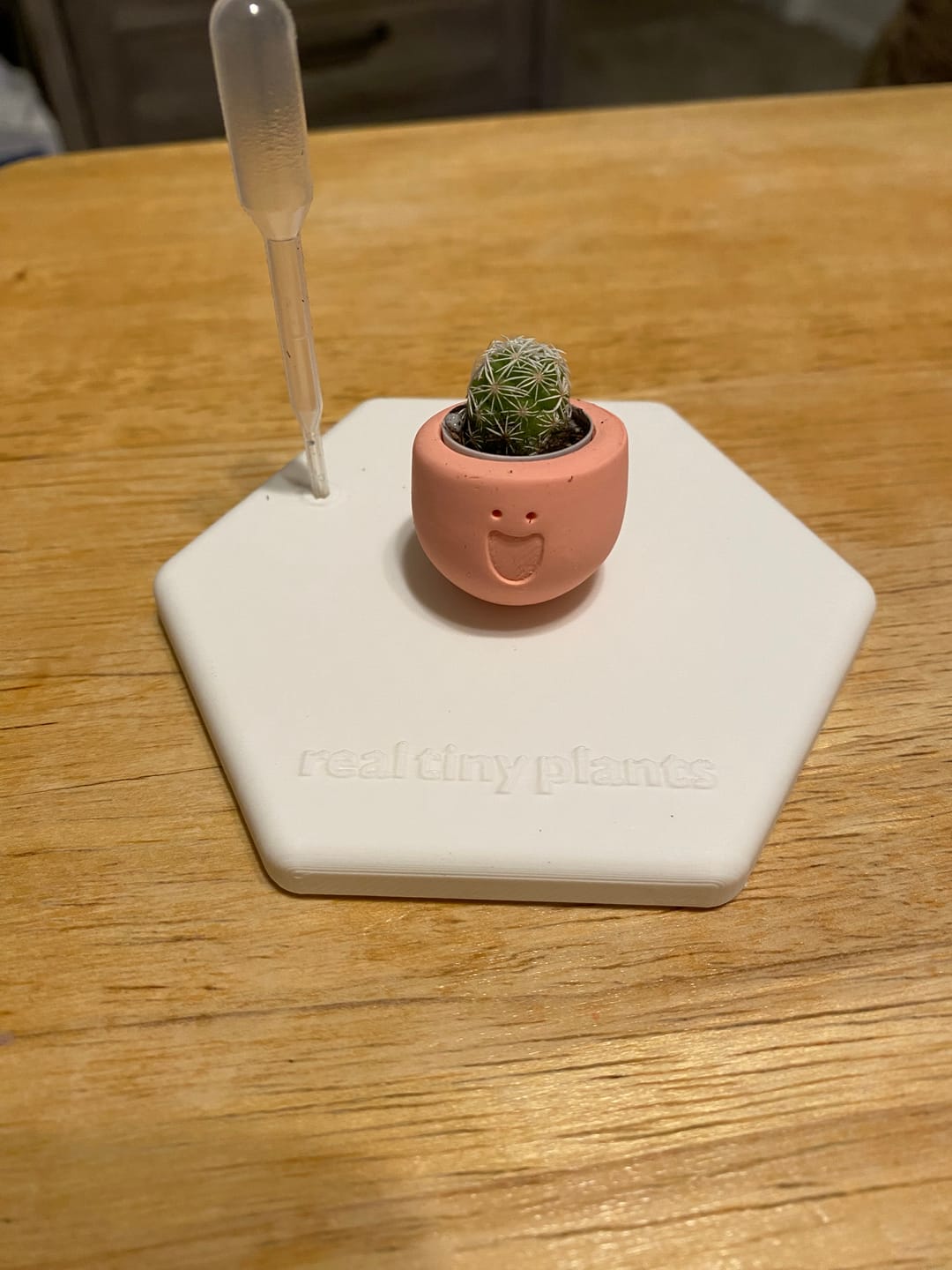 Customer photo review of LOL
