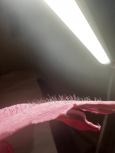 Customer photo review of Plumeria Hard Wax