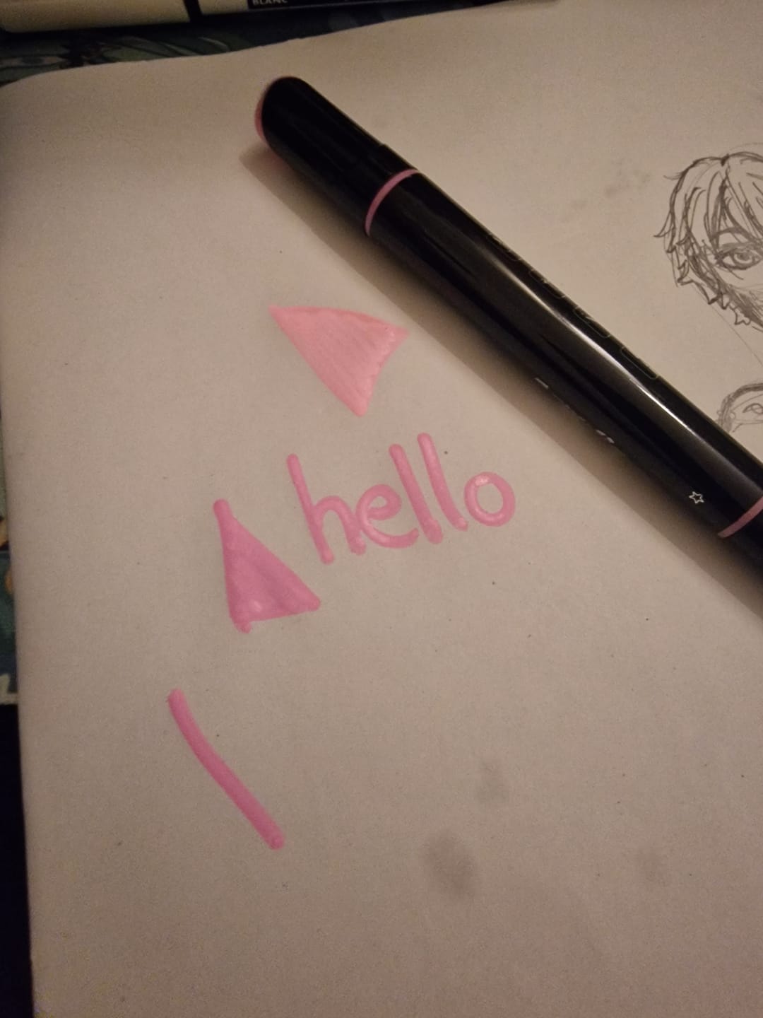 Customer photo review of Ohuhu Dual Nib Waterproof Acrylic Pen 30 / 60 / 90 Colors - Kakaako