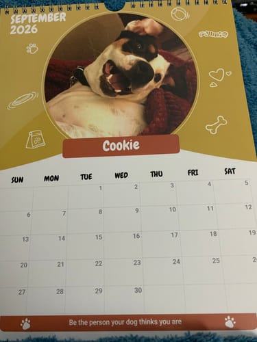 Customer photo review of Official Pupvote Cutest Pets of the Year Calendar (2026)