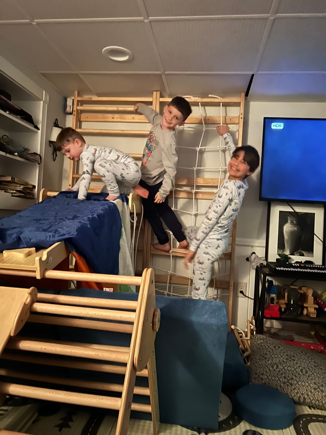 Customer photo review of Neem | Swedish Ladder & Rope Wall - 79" Height