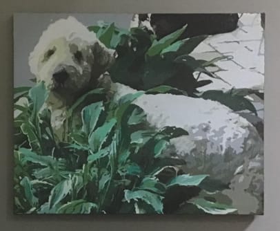 Customer photo review of Custom Pet Paint By Numbers