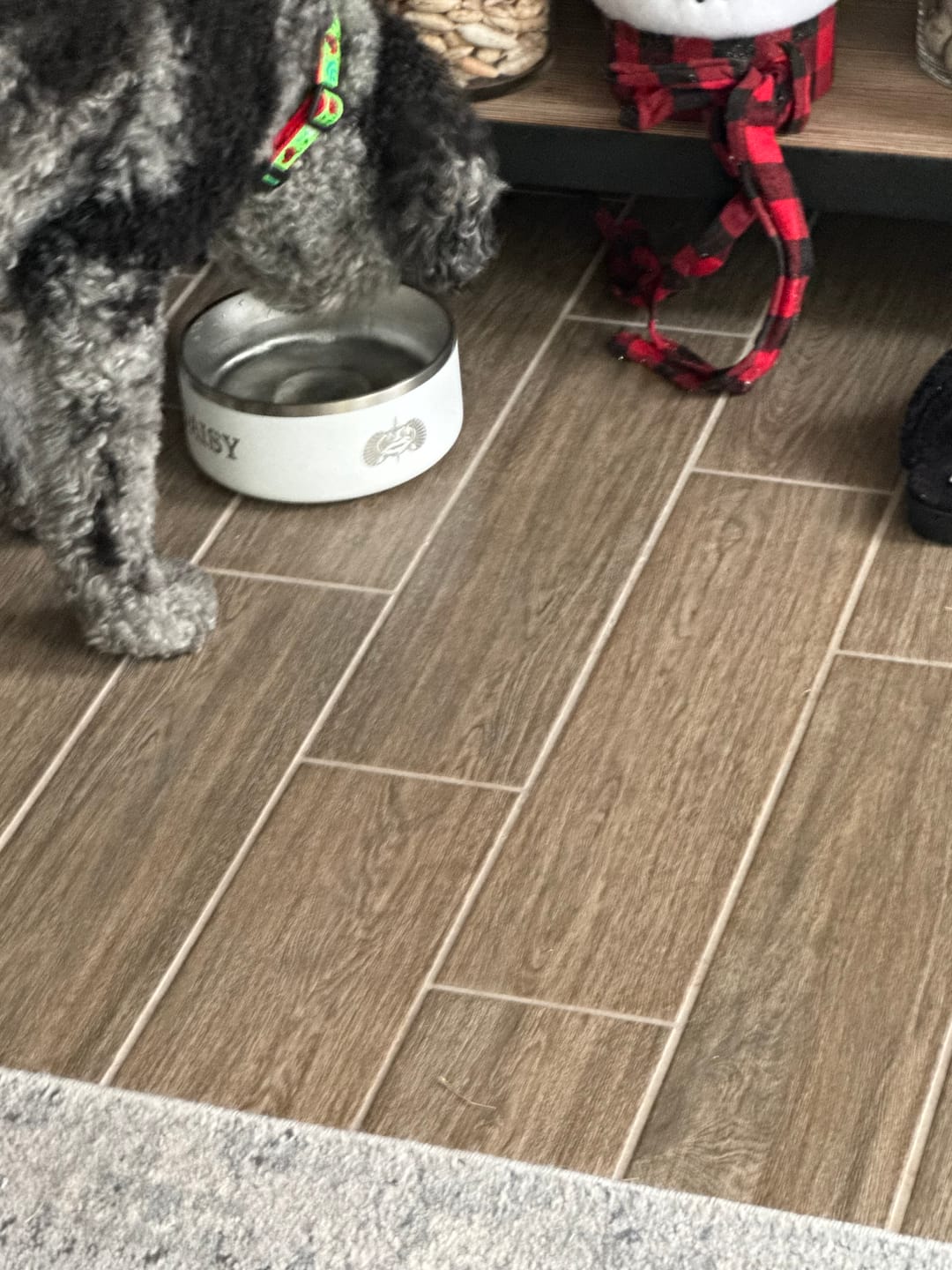 Customer photo review of Custom Engraved Dog Bowl