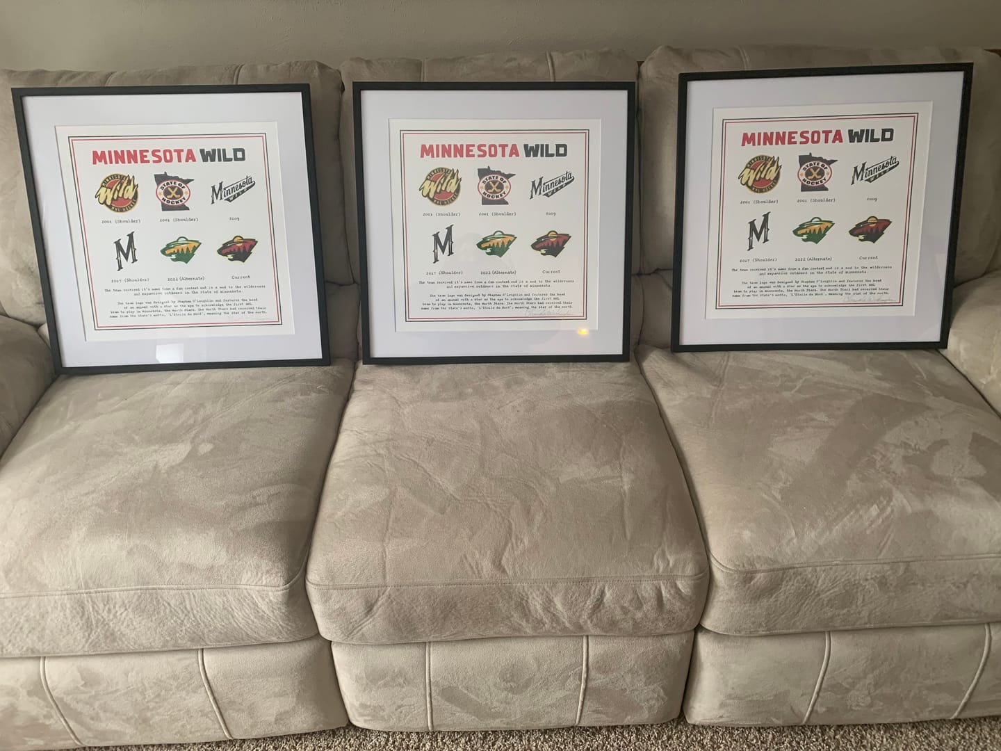 Customer photo review of The Logo Evolution of the Minnesota Wild