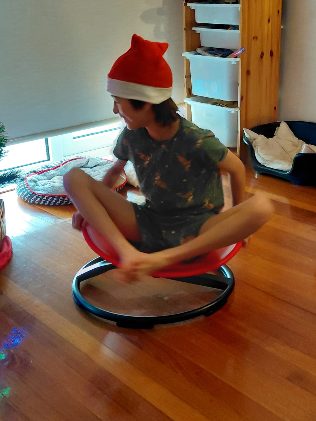 Customer photo review of Sensory Integration Vestibular Stimulation Swivel Chair Gross Motor Skill Training