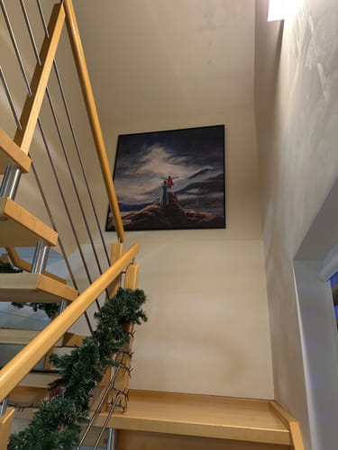 Customer photo review of Paveikslas “KAIP AŠ MOKIAUSI SKRAIDYTI"