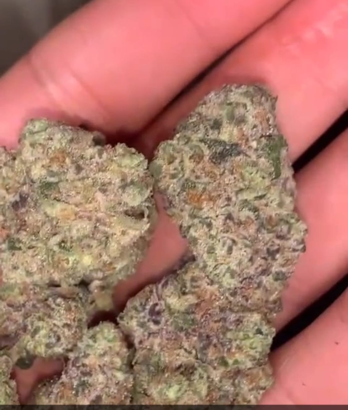 Customer photo review of HHZ Blüte - Purple Diesel