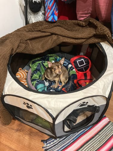 Customer photo review of Hordozható Kutya Kennel és Kisállat járóka