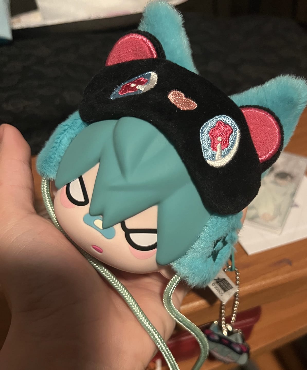 Customer photo review of Alien Stage Freedom Stage Series Earphone Pouch
