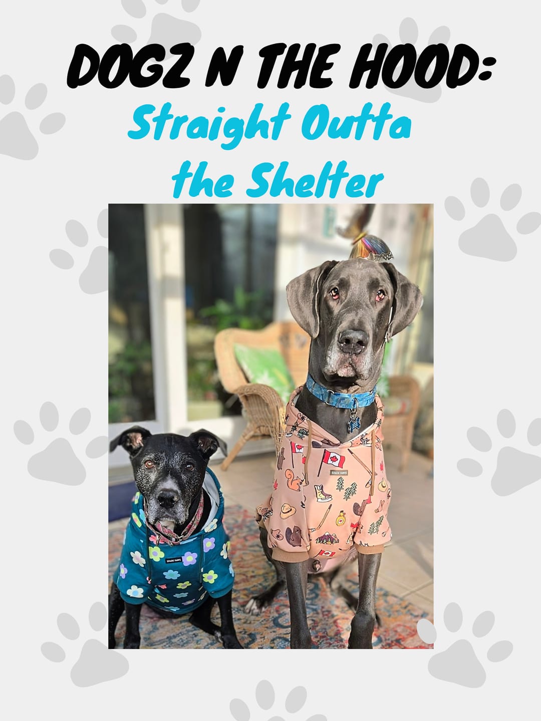 Customer photo review of Daisy Dog Hoodie - Green