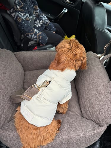Customer photo review of Marshmallow | The Modular Puffer