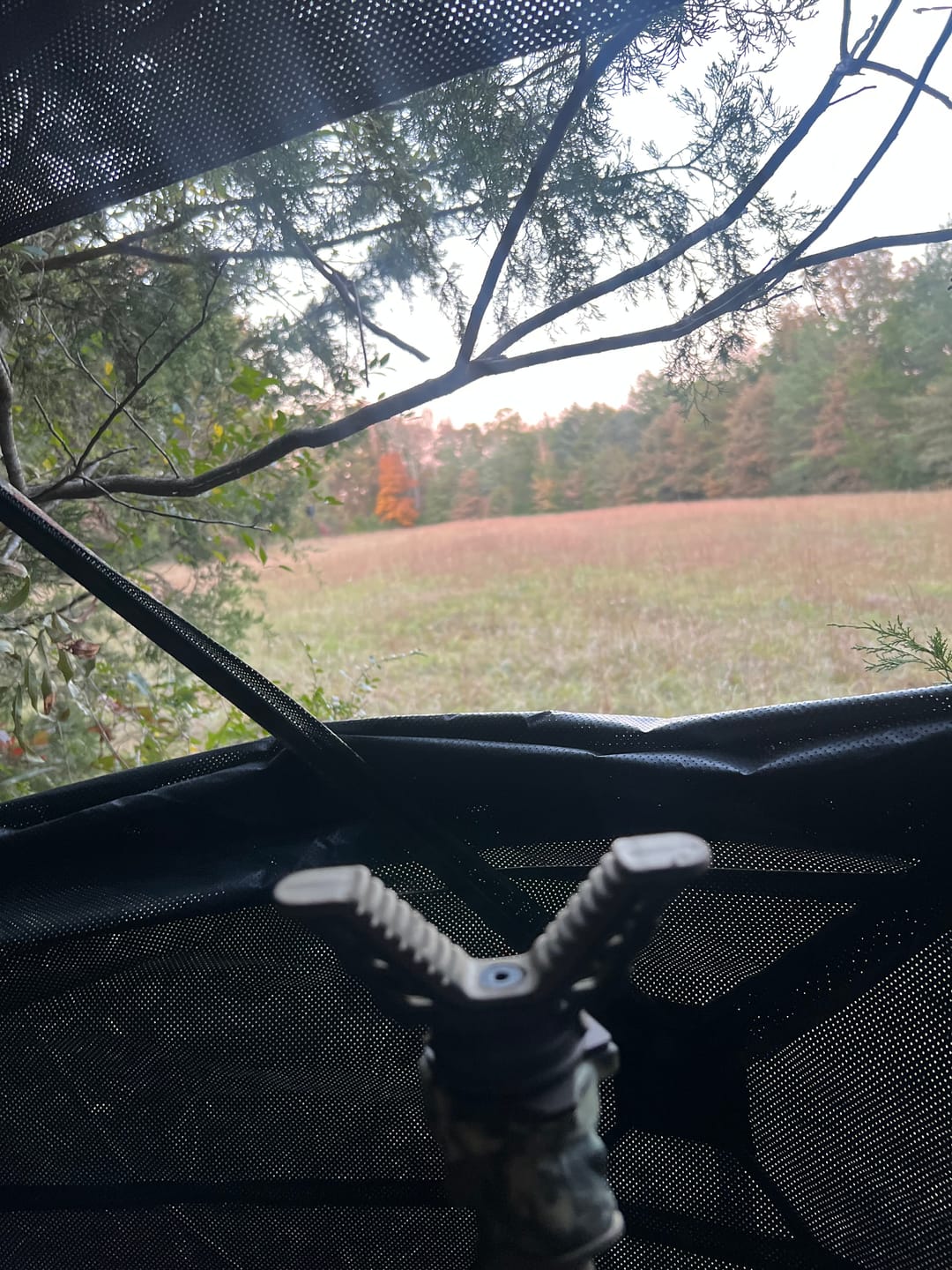 Customer photo review of Vis Series See Through Hunting Blind, Pop Up Ground Deer Blind