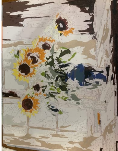 Customer photo review of Custom Landscape Paint By Numbers