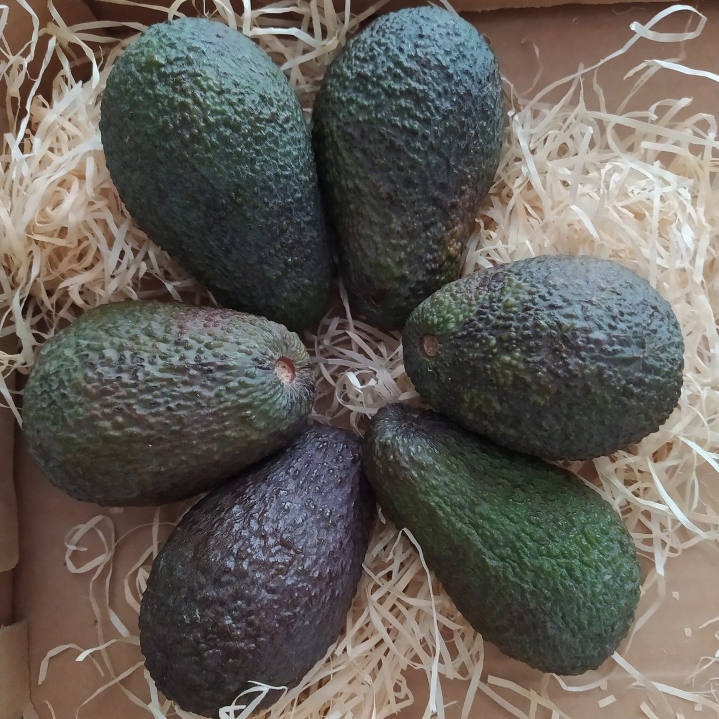 Customer photo review of Avocado Hass Bio von Julian 3kg Box Weihnachtsaktion %