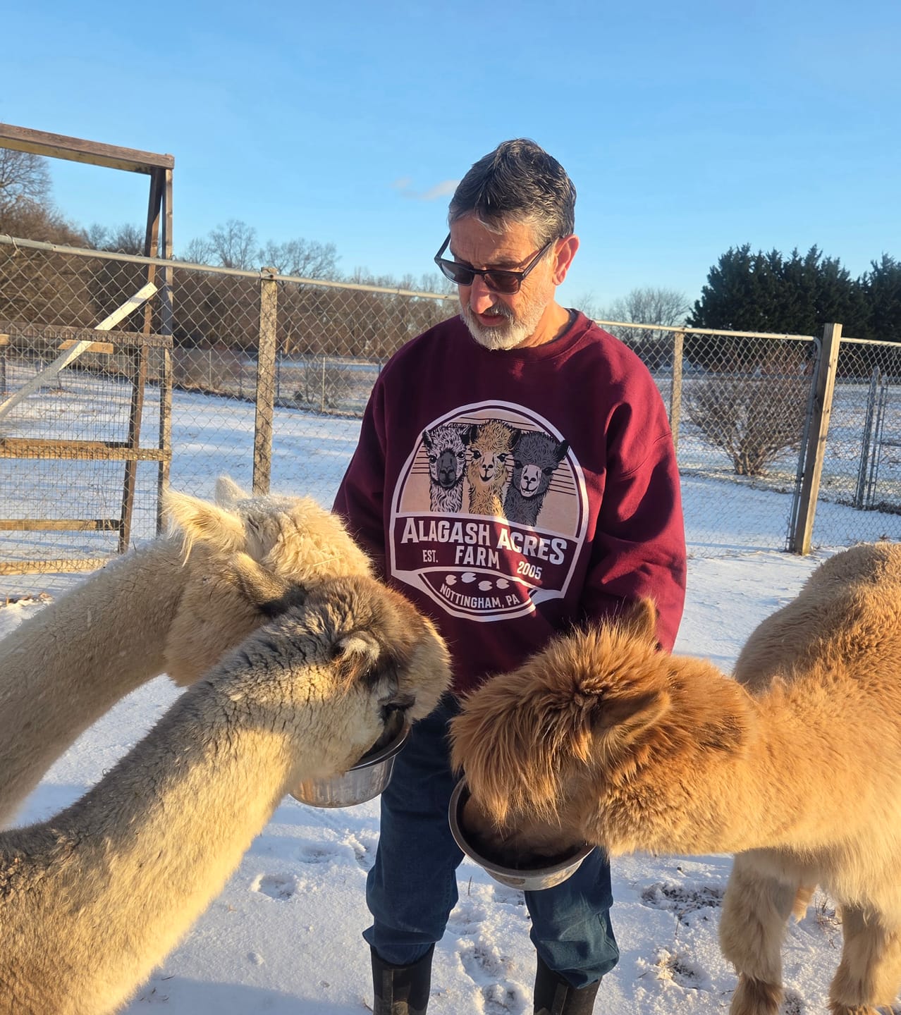 Customer photo review of ALPACA FARM CUSTOM SWEATSHIRT Q1