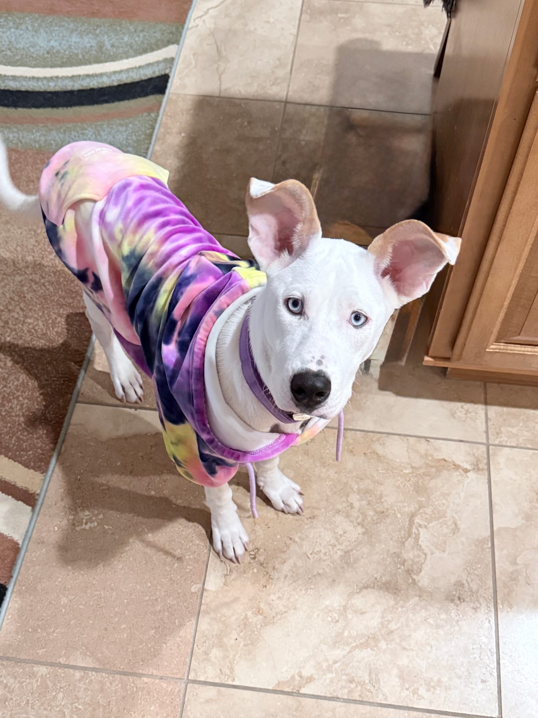 Customer photo review of Velvet Human Hoodie - Berry Lemonade
