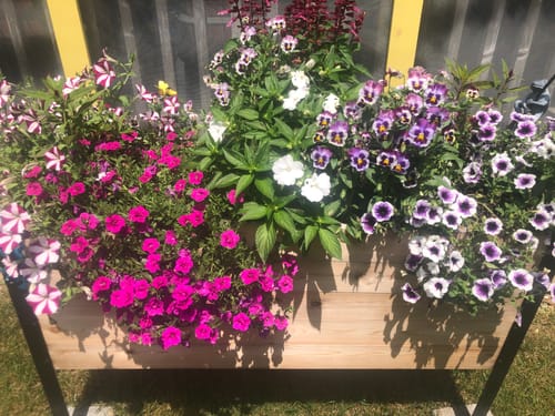 Customer photo review of Winter Covers for Raised Garden Beds