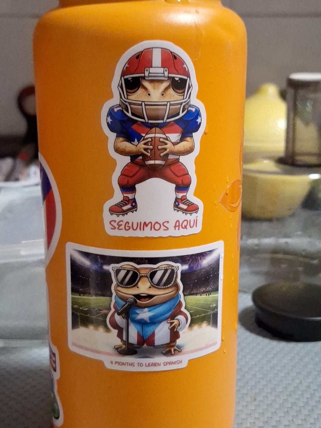Customer photo review of Concho "Seguimos aquí" (Sticker Laminado)