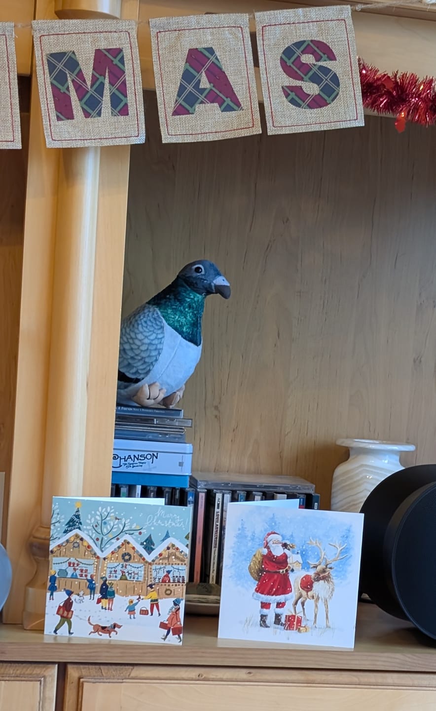Customer photo review of Common Pigeon Bird Soft Stuffed Plush Toy