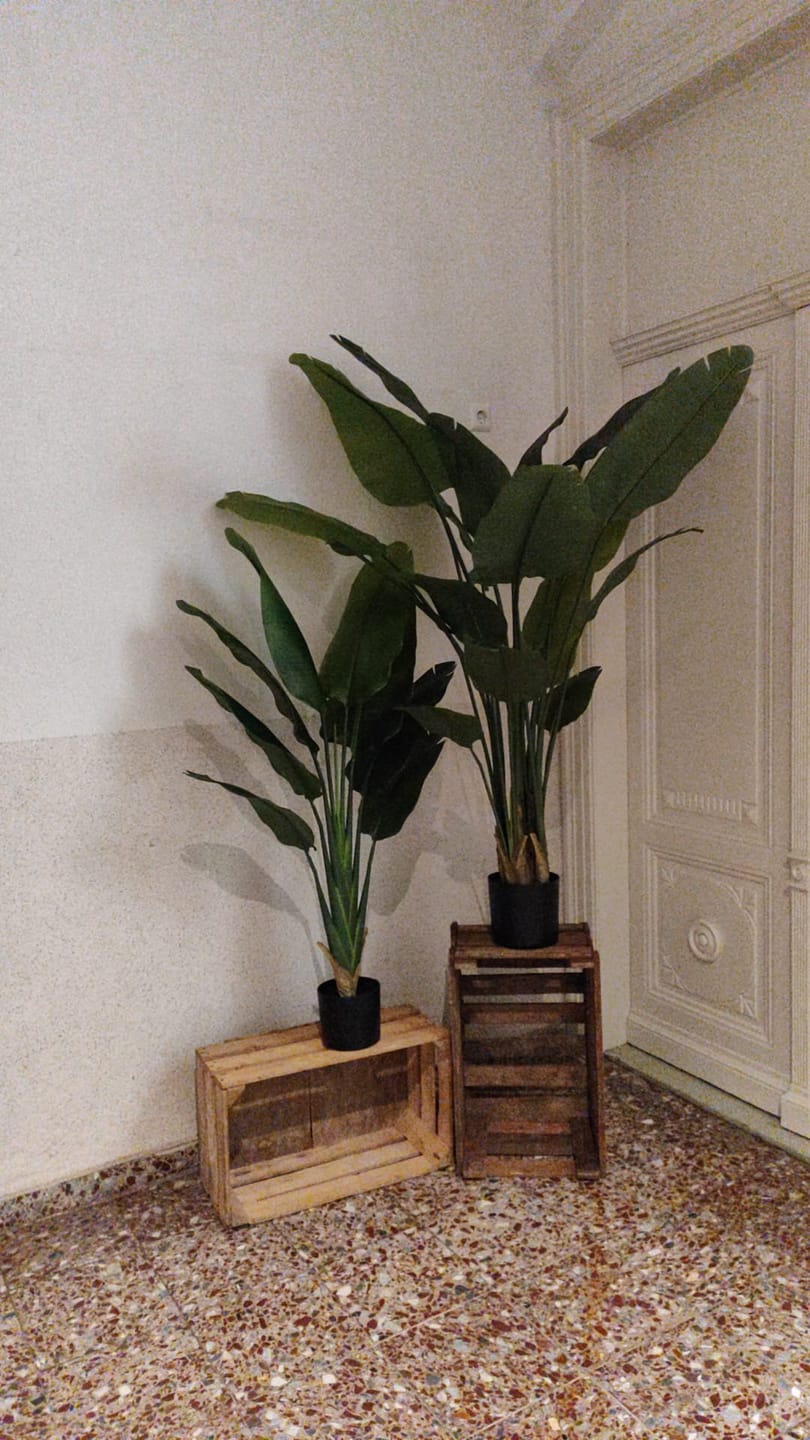 Customer photo review of Strelitzie Kunstpflanze 180cm