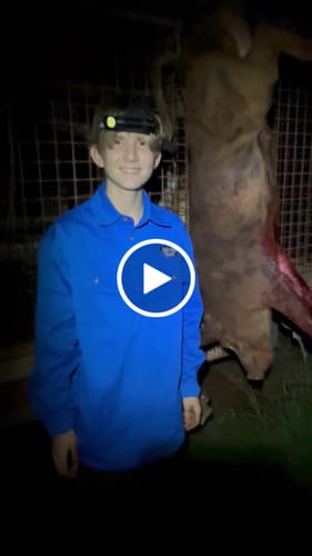 Customer video review of 🔥NEW🔥 Cotton Work Shirt | Heavy Duty Blue