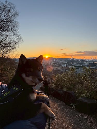 Customer photo review of FunFunPet 高機能ハーネス（お名前タグ作成サービス付き）