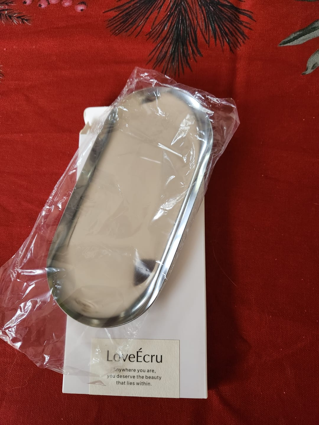 Customer photo review of Minimalism Steel Tray