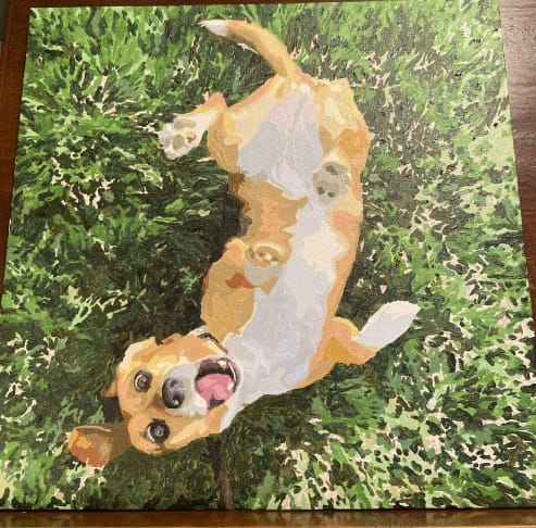 Customer photo review of Custom Pet Paint By Numbers