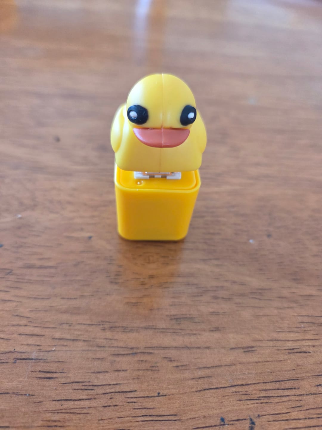 Customer photo review of 2x Quaking Duck Fidget Keychain