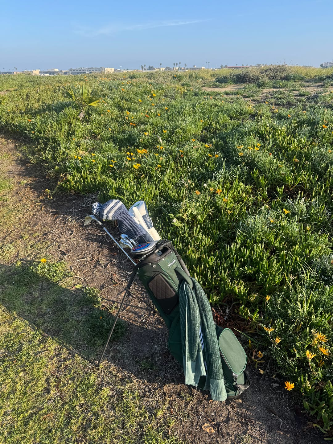 Customer photo review of Hudson Looper Golf Bag