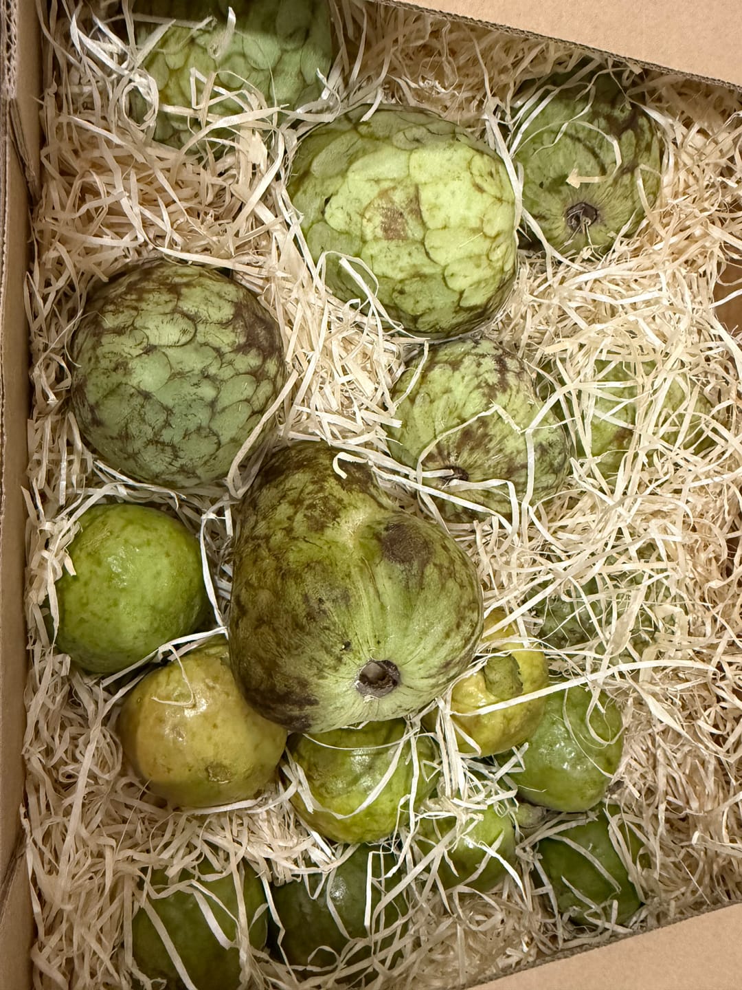 Customer photo review of Guave rot naturbelassen von Julian