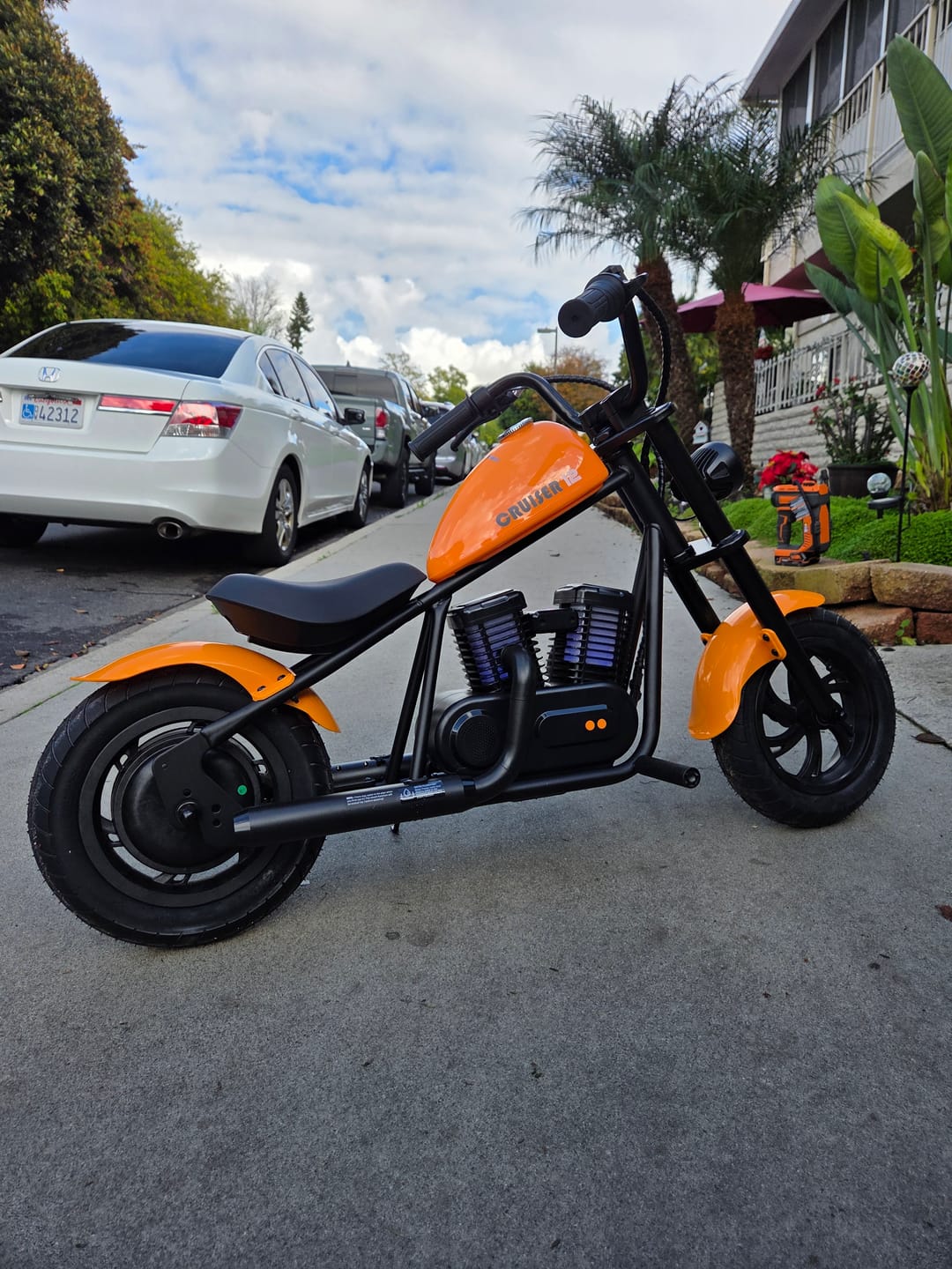 Customer photo review of Cruiser 12 Plus
