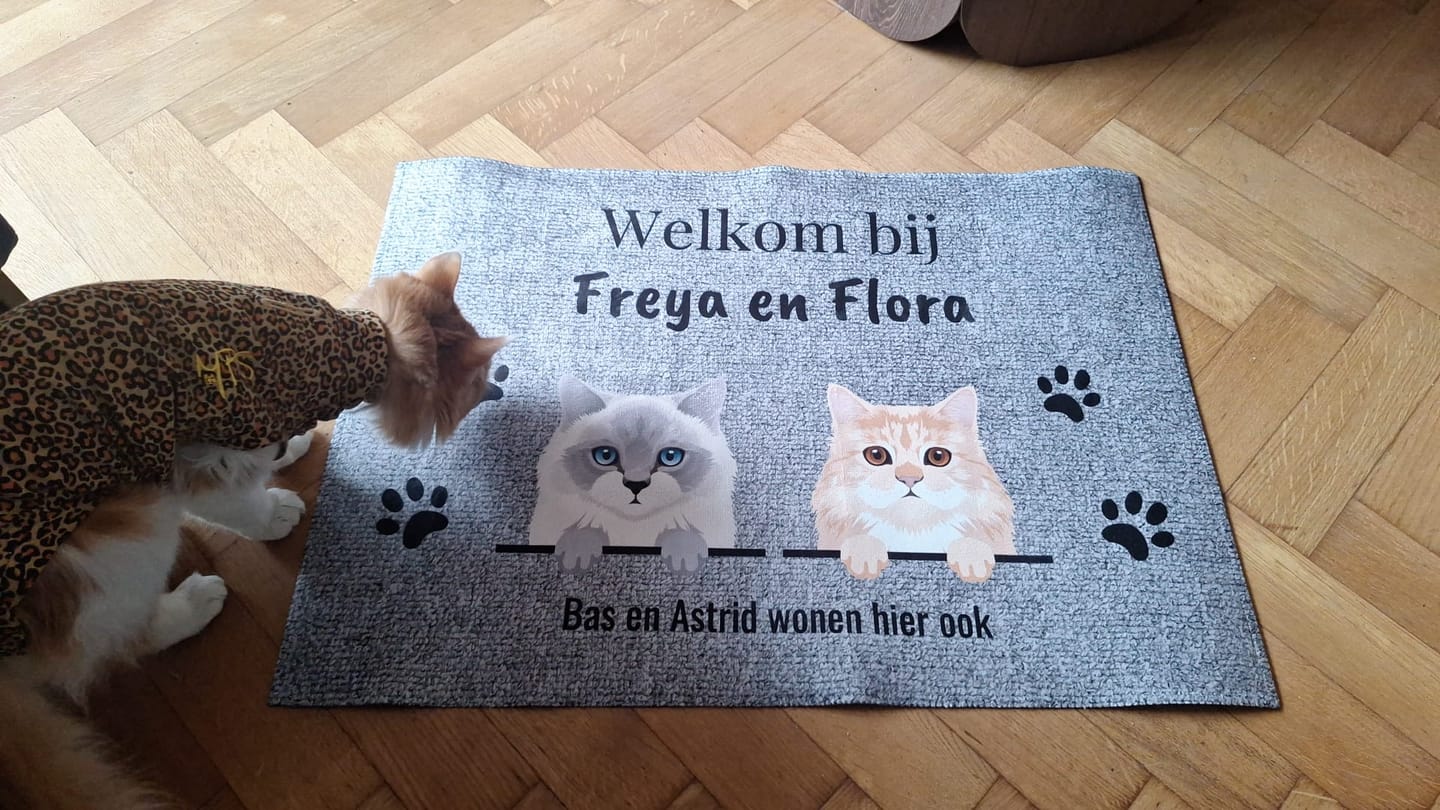 Customer photo review of Welkom bij - Gepersonaliseerde huisdier deurmat