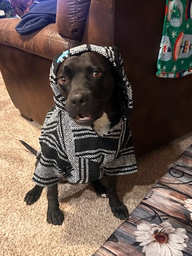 Customer photo review of Free & Easy Return or Exchange Coverage + Package Protection