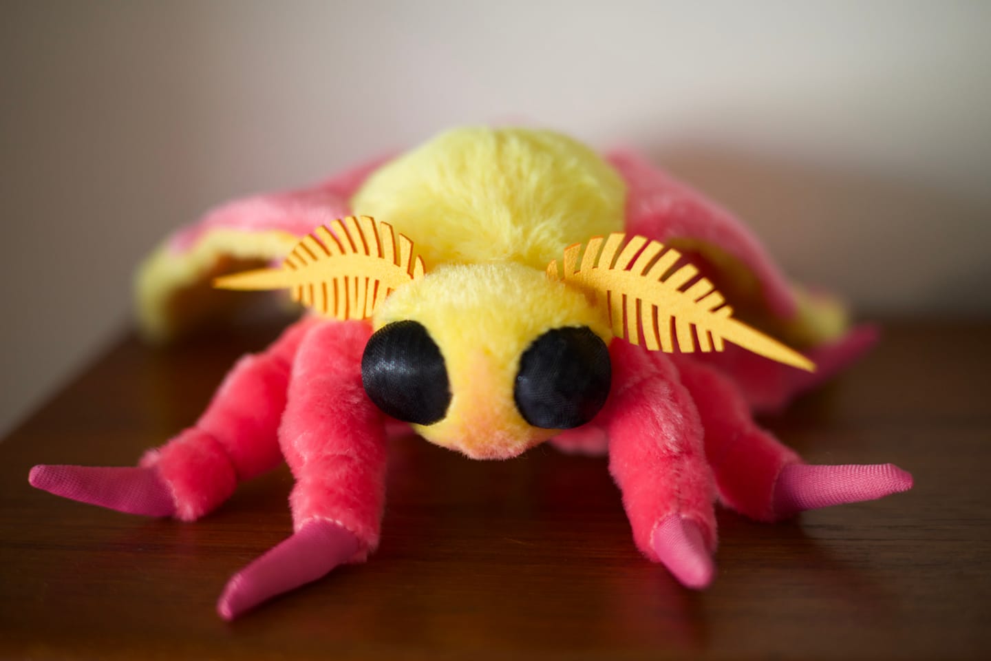 Customer photo review of Rosy Maple Moth Soft Stuffed Plush Toy