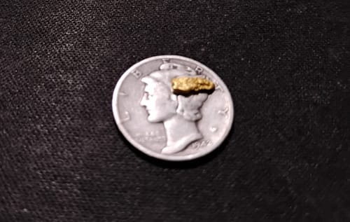 Reviewer shows a gold nugget found with the sluice box, sitting on a dime for size comparison.