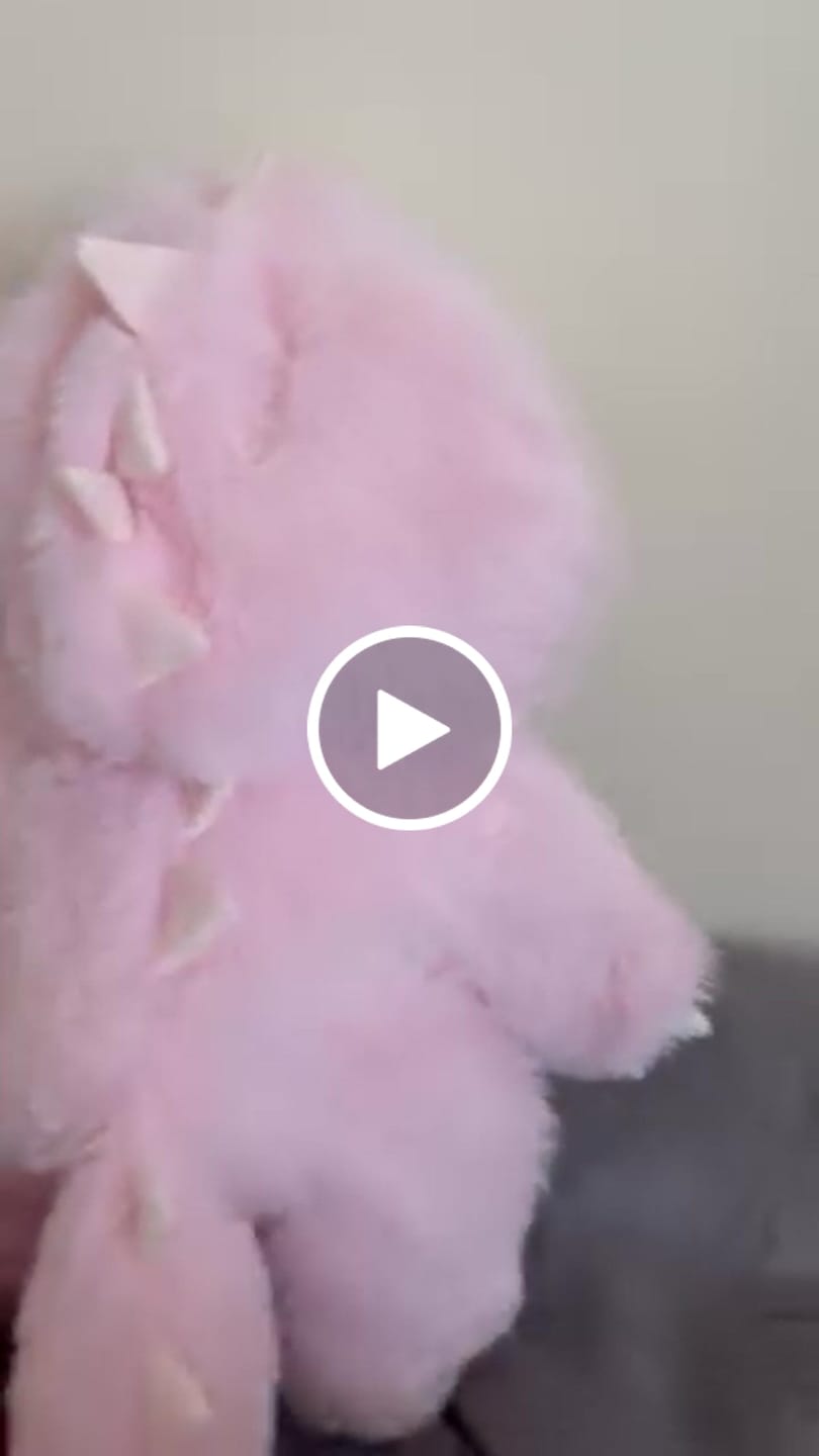Customer video review of Pink Dino