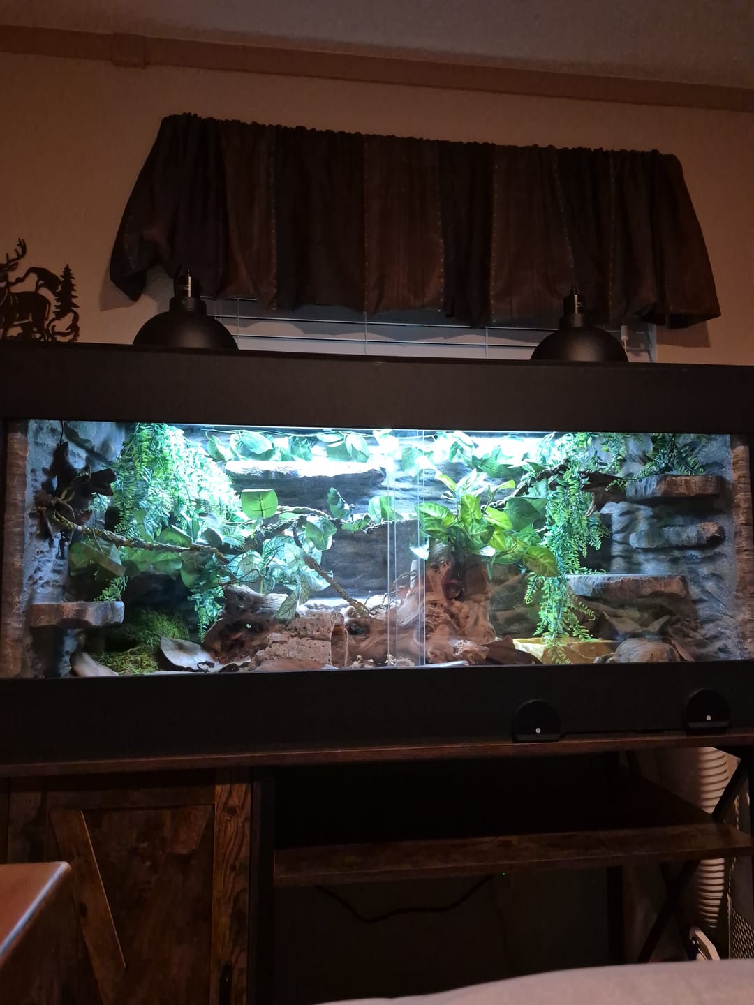 Customer photo review of 48"x24"x24" / 4'x2'x2' Premium PVC Reptile Enclosure