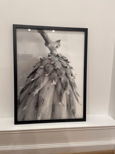 Customer photo review of 18x24 Giclee Fine Art Prints