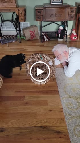 Customer video review of Gravity Marble Run