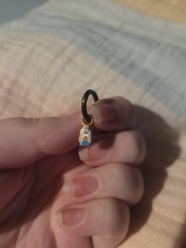 Customer photo review of Lantern Charms
