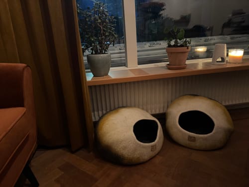 Customer photo review of Premium