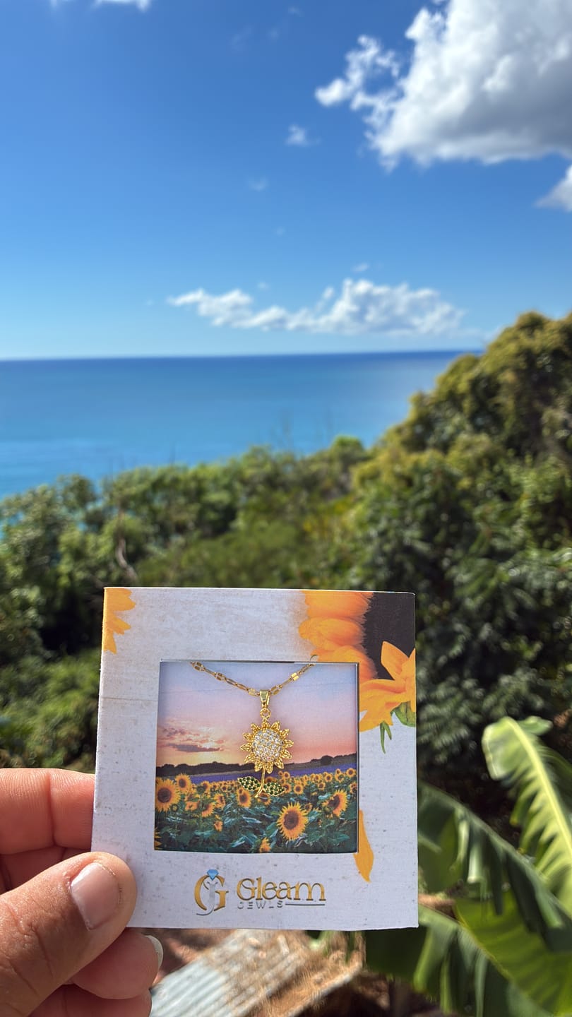 Customer photo review of Girasol