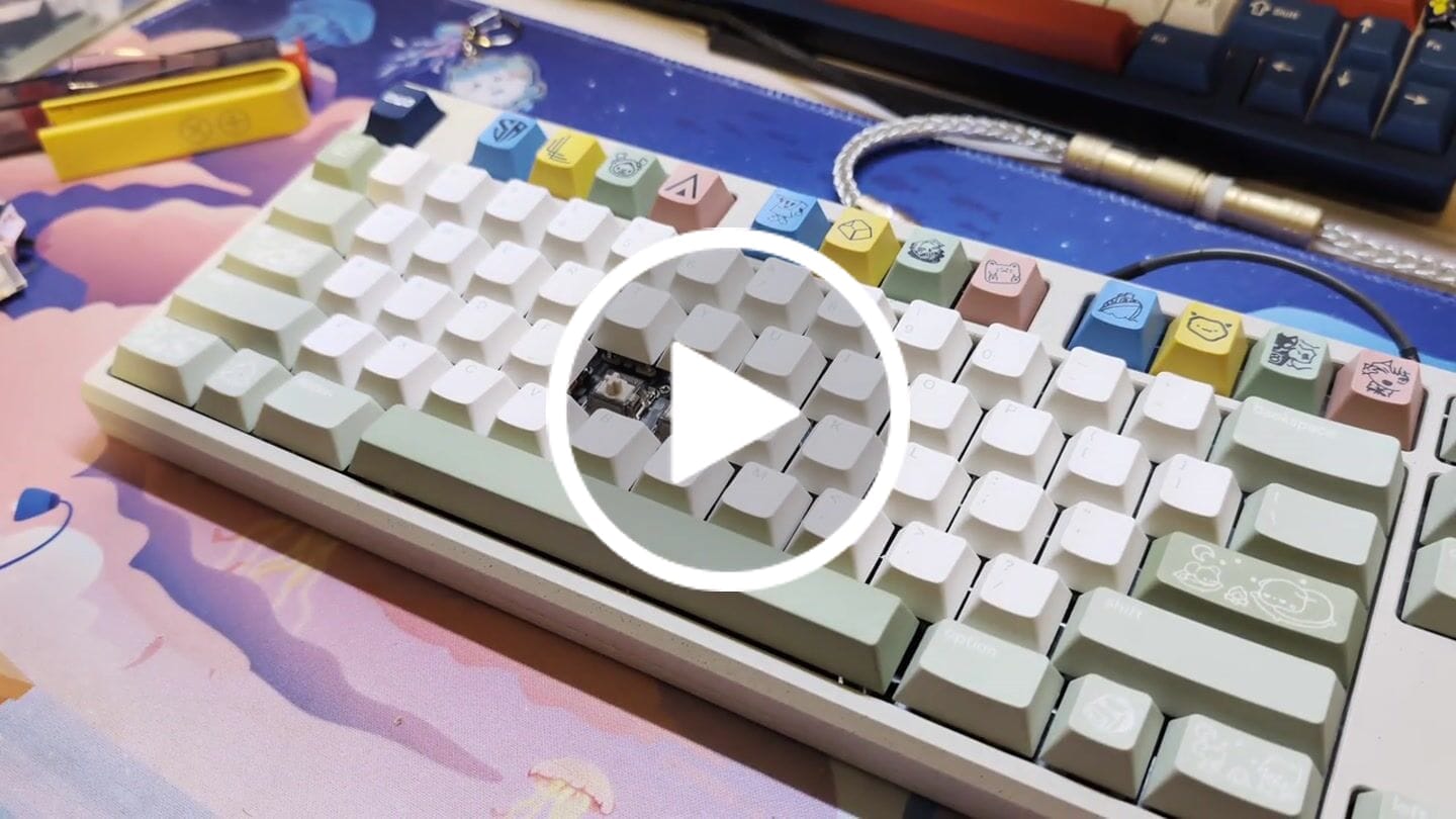 Customer video review of OWLAB Ti HE MAGNETIC SWITCHES (10PCS)