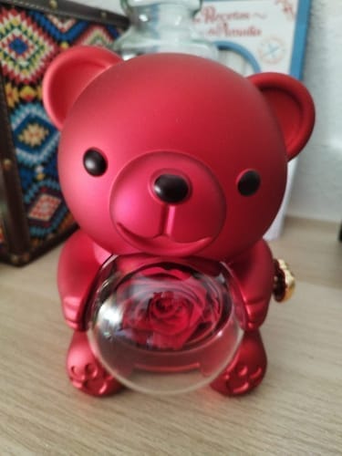 Customer photo review of Ewige Rose Bär Geschenkbox Mit Gravierter Herz Halskette - Kostenlose Ohrringe