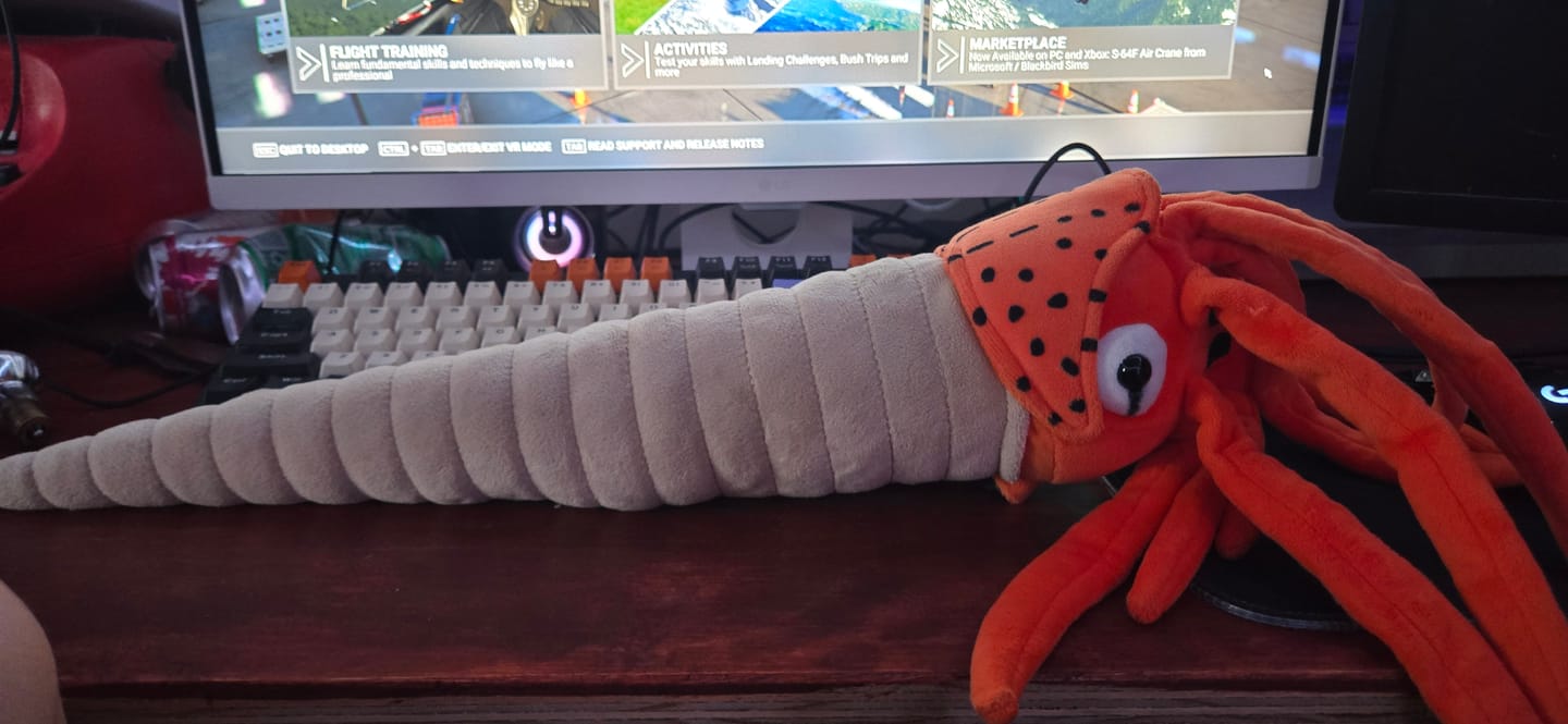 Customer photo review of Orthoceras Nautiloid Cephalopod Soft Stuffed Plush Toy
