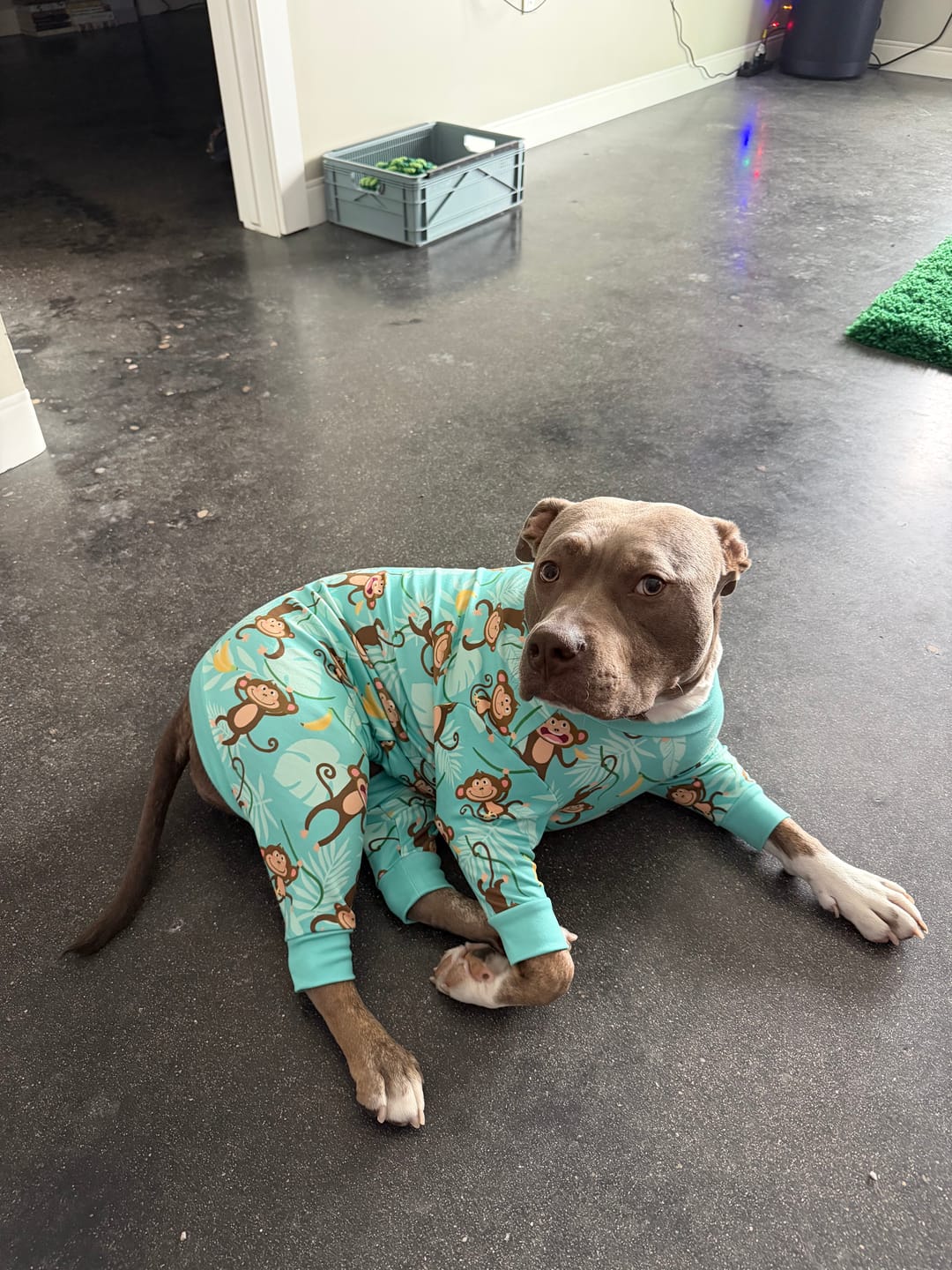Customer photo review of Dog Pajama - Monkey Business