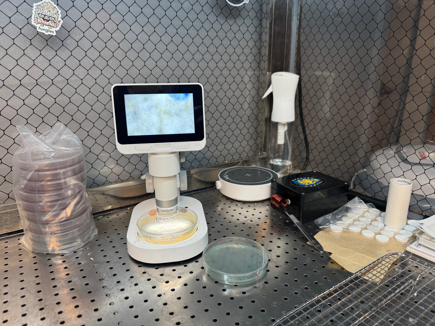 Customer photo review of Darwin M2 – Professional-Grade Digital Microscope with 1600X Zoom