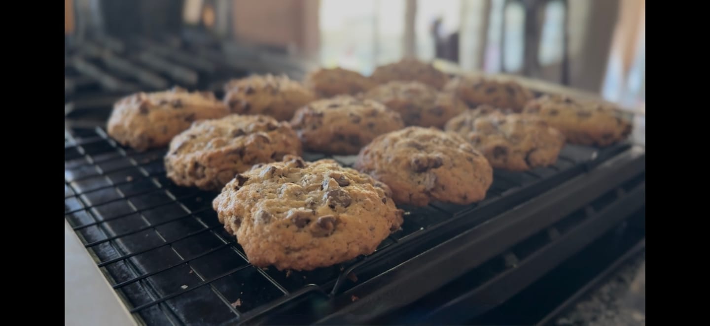 Customer photo review of Sourdough Recipe Bundle: A Collection Of 5 Our Most Viral & Requested Recipes!