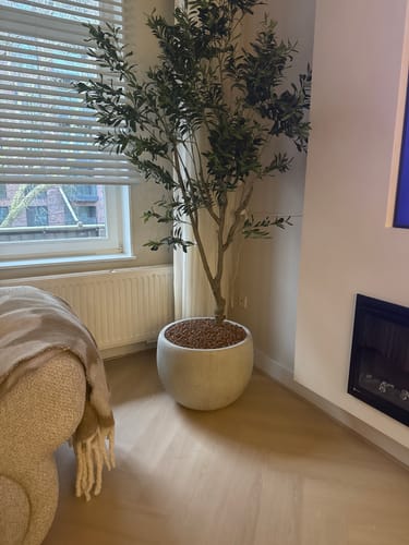 Customer photo review of Kunst Olijfboom 210cm